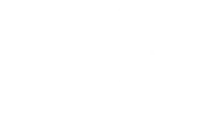 WildYAK